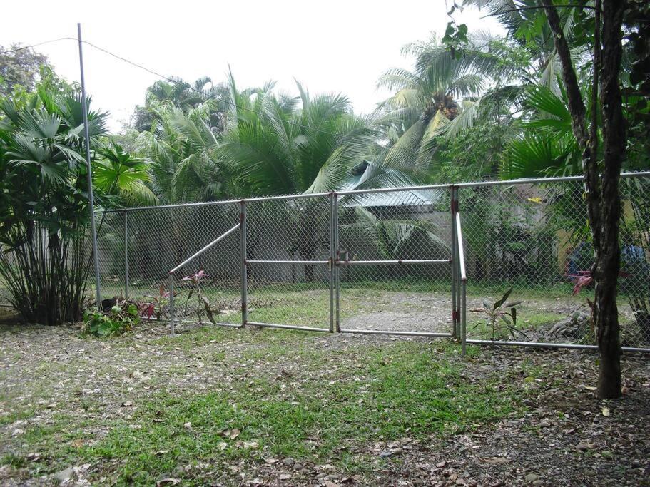 הוילה Puerto Viejo de Talamanca Green Papaya מראה חיצוני תמונה